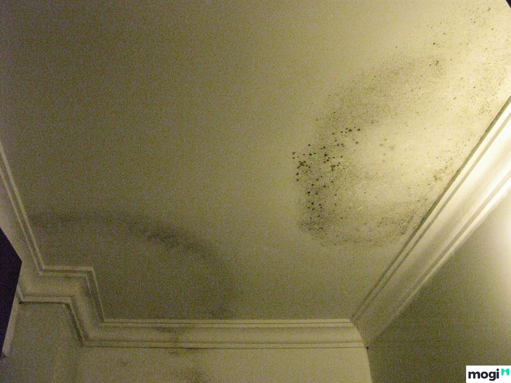 Hiện tượng trần nhà thấm nước rất phổ biến hiện nay