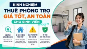 Tiền thuê phòng trọ sinh viên 1 tháng bao nhiêu? Cập nhật giá tại TPHCM 8 Kinh nghiệm thuê phòng trọ giá tốt, an toàn cho sinh viên
