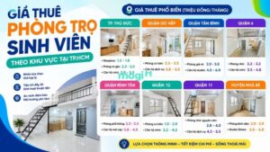 Tiền thuê phòng trọ sinh viên 1 tháng bao nhiêu? Cập nhật giá tại TPHCM 5 Gợi ý các khu vực có nhiều trường đại học, giá thuê dễ tiếp cận