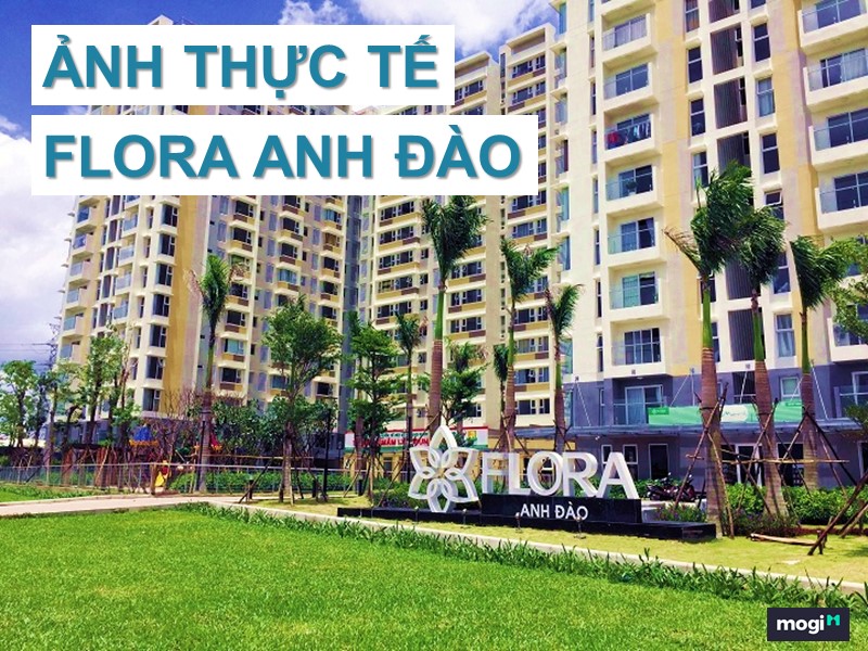 Căn hộ Flora Anh Đào Quận 9