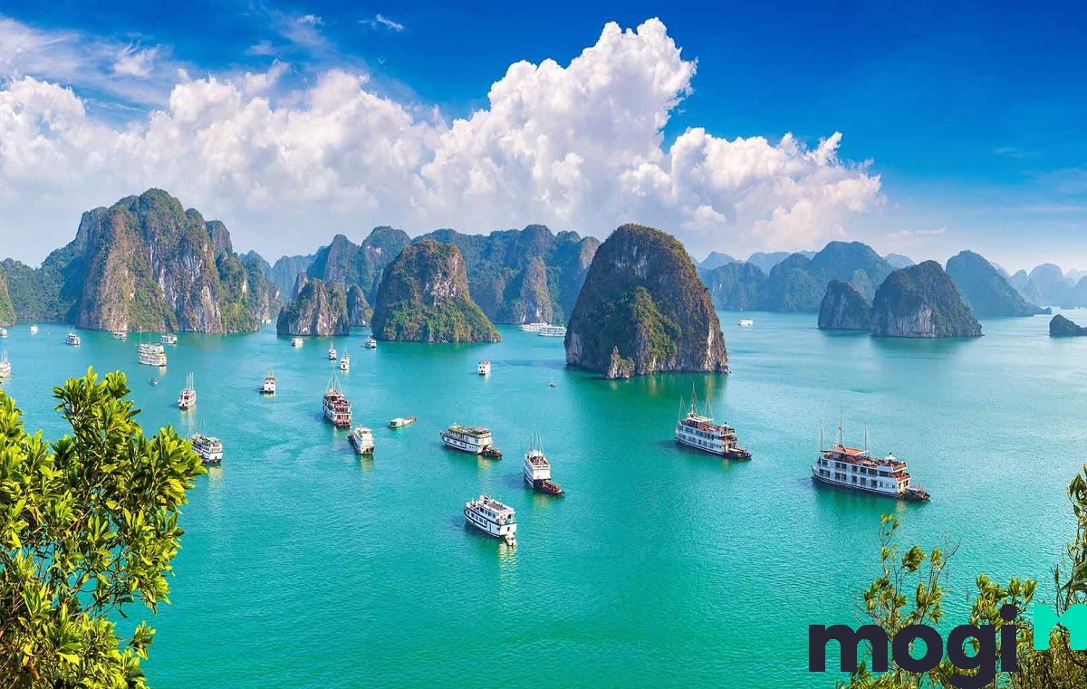 Việt Nam là một trong những quốc gia có tài nguyên thiên nhiên với sông, biển, đồi, núi… đa dạng.