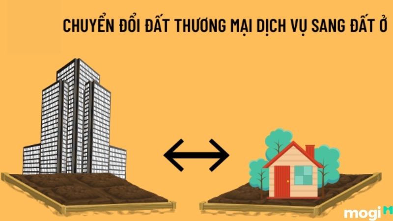 có nên mua đất thương mại dịch vụ