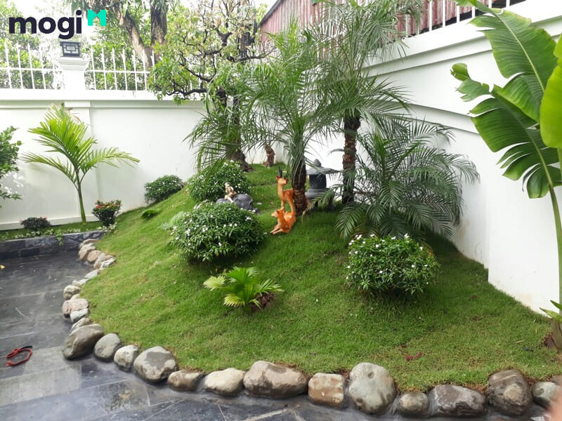 Tiểu cảnh sân vườn mini - Nghệ thuật trang trí nhà ở | Mogi.vn