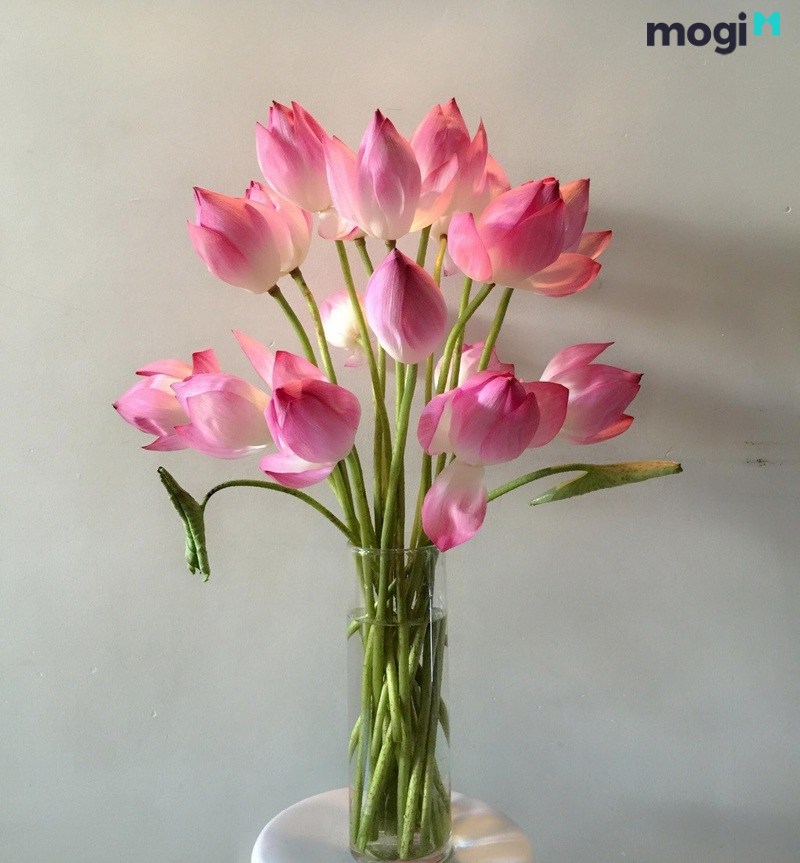 Mẫu Cắm Hoa Bàn Thờ đẹp Và Hướng Dẫn Cách Cắm Hoa đơn Giản Nhất | Mogi