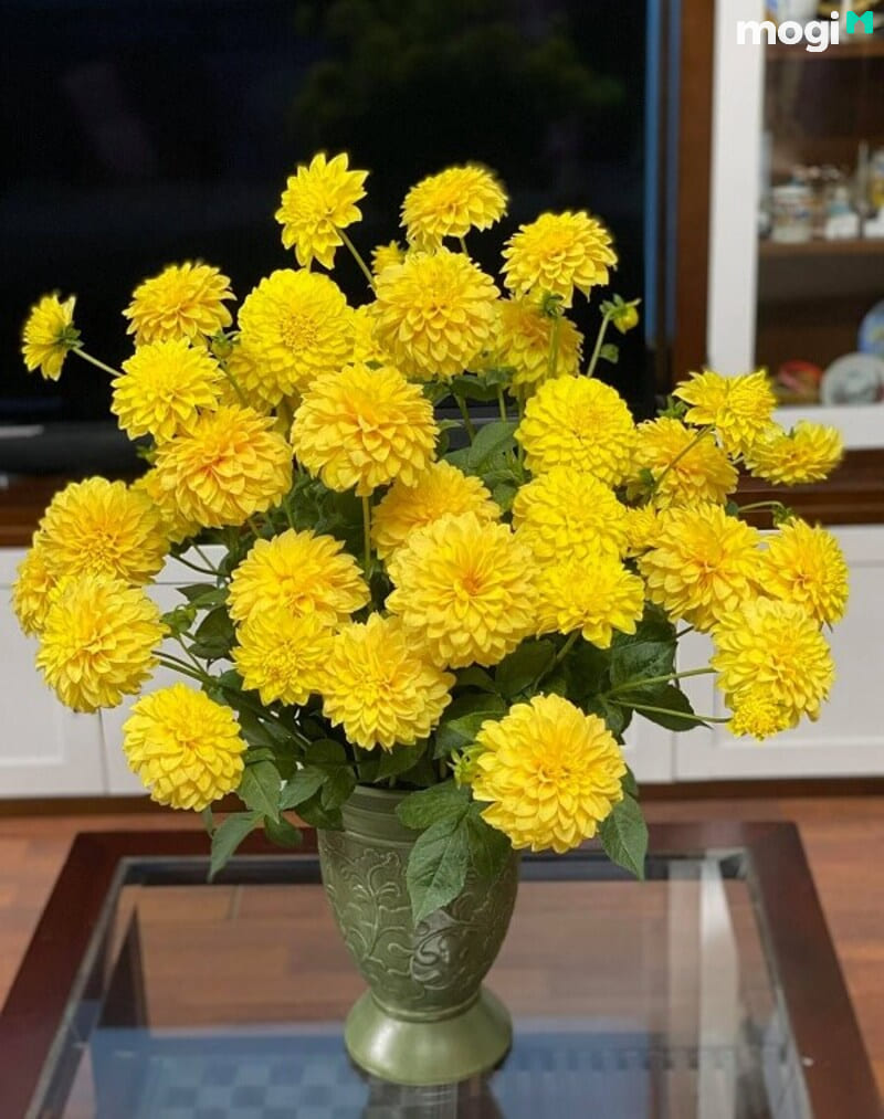 Gợi Ý 5 Kiểu Cắm Hoa Cúc Vàng Để Bàn Thờ Đẹp, Thu Hút Tài Lộc | Mogi