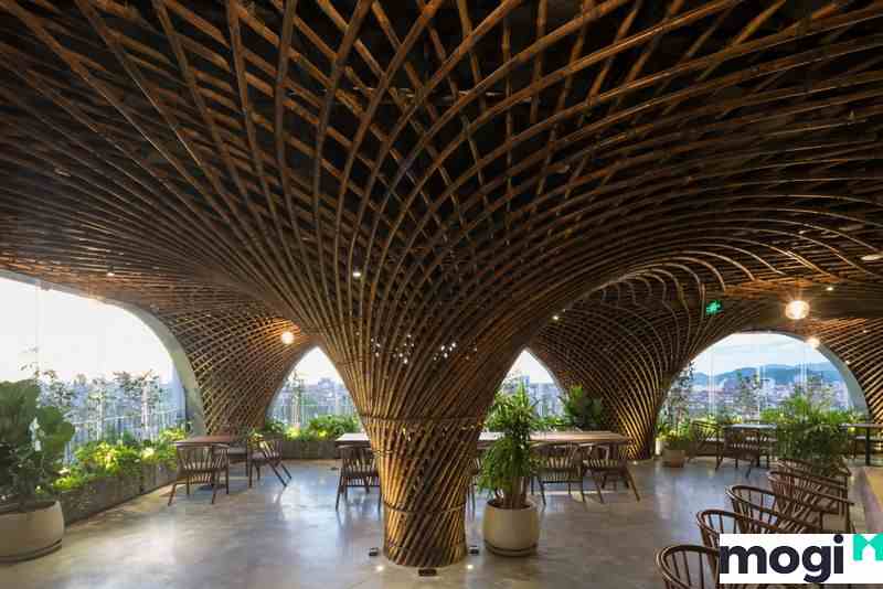 Quán cafe tre trúc với không gian thoáng mát, hiện đại