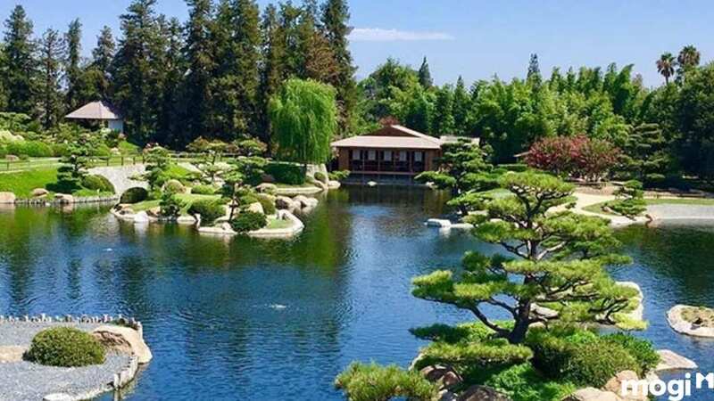 Dòng nước tạo nên sự uyển chuyển trong thiết kế sân vườn kiểu Nhật