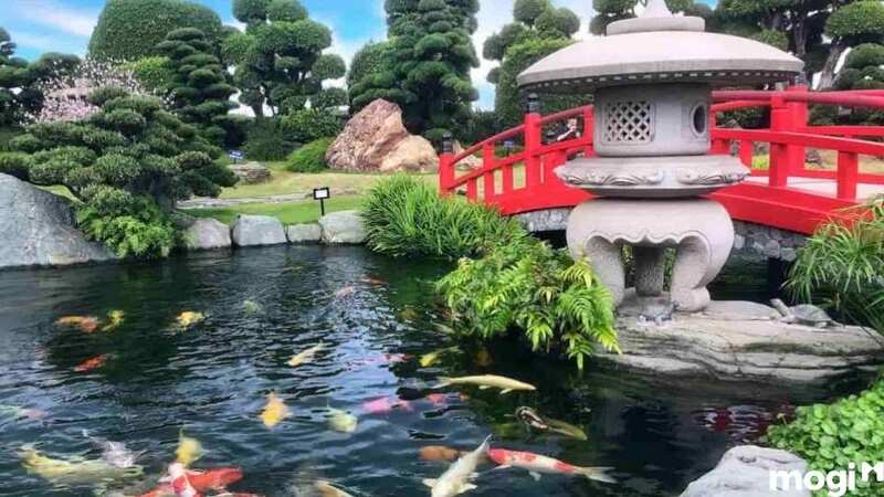 Đèn đá thường được dùng trong thiết kế sân vườn kiểu Nhật