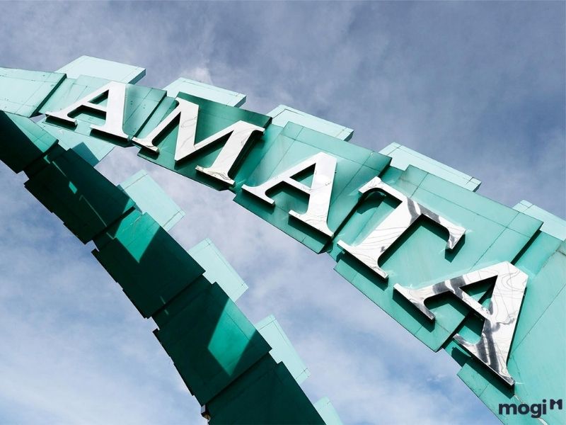Chủ đầu tư dự án Amata
