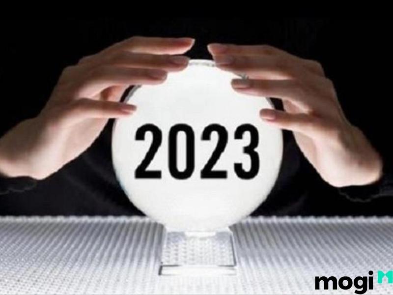 2023 là năm con gì?