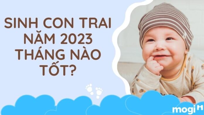 Sinh con trai năm 2023 tháng nào tốt