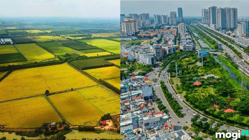 Hiện tại có bao nhiêu loại đất ở Việt Nam theo Luật đất đai?
