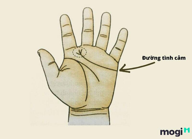 Những dấu vân tay xấu: dấu vân tay vận mệnh có dấu vân tay đảo ngược