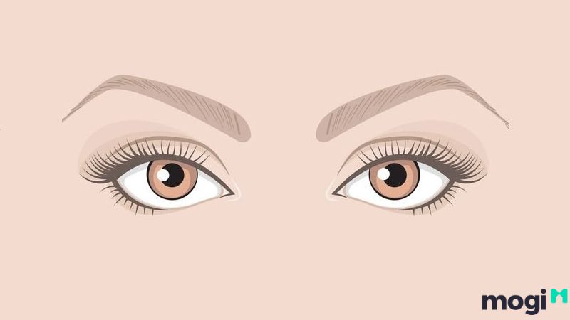 Mắt tam bạch là gì? Đẹp hay xấu?
