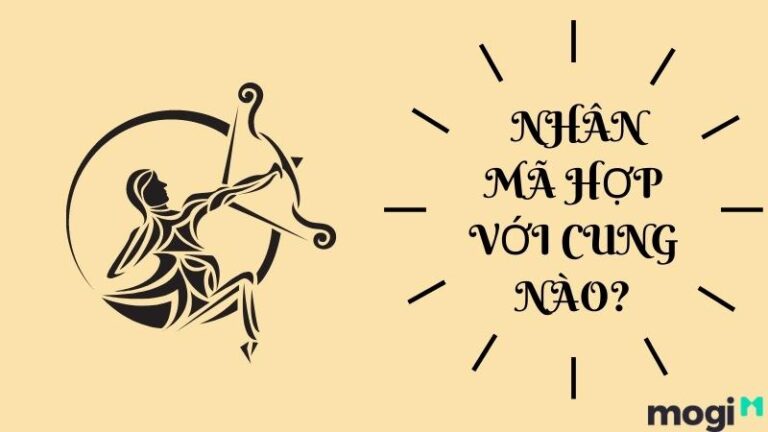 Cung Nhân Mã Hợp Với Cung Nào? Tình Duyên, Sự Nghiệp Nhân Mã Năm 2023