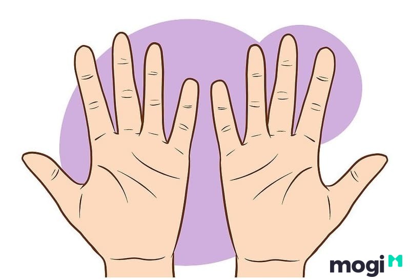 Đường chỉ tay là những đường gấp khúc chạy ngang hoặc dọc giữa lòng bàn tay
