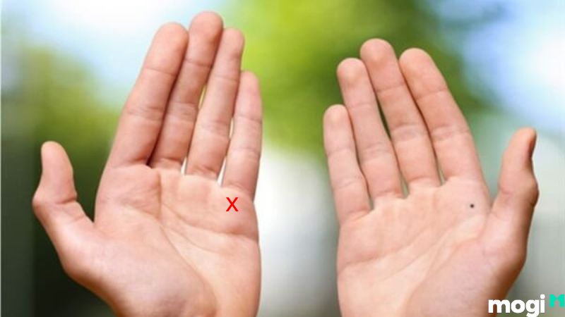 Ý nghĩa chữ X ở các vị trí khác nhau trong lòng bàn tay