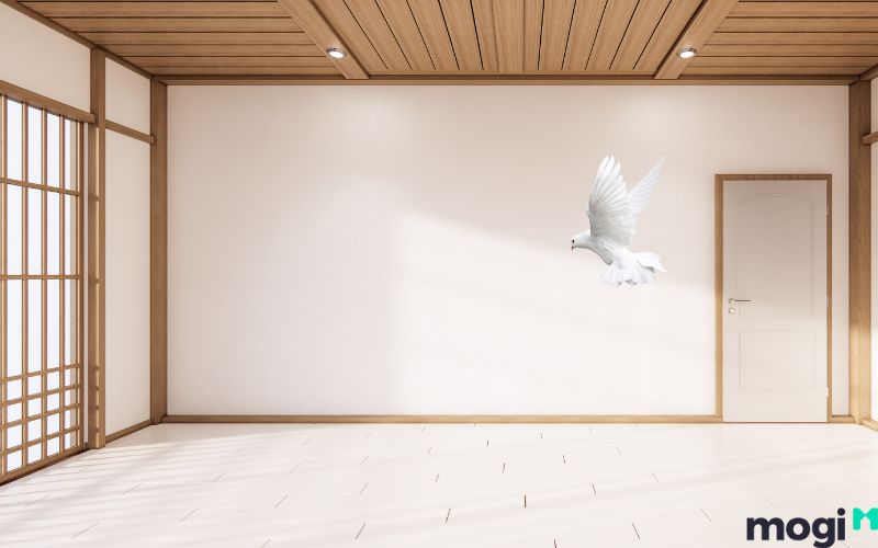 Chim màu trắng bay vào nhà là điềm gì?