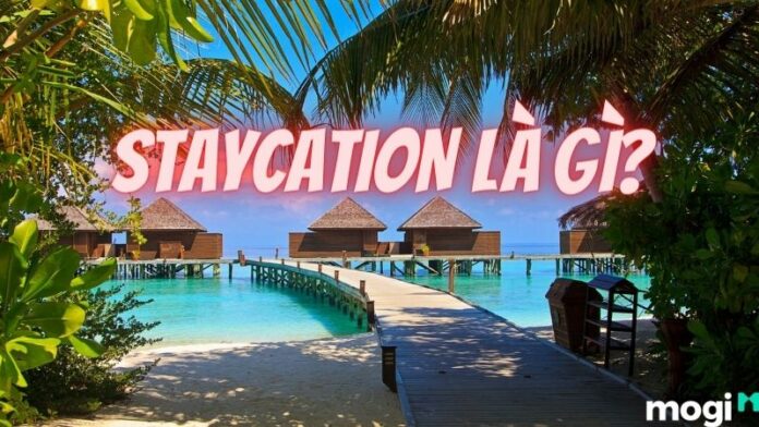 Staycation là gì?
