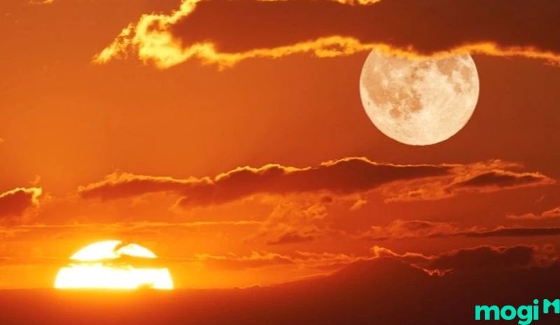cung mặt trời và mặt trăng nằm ở vị trí 7-7