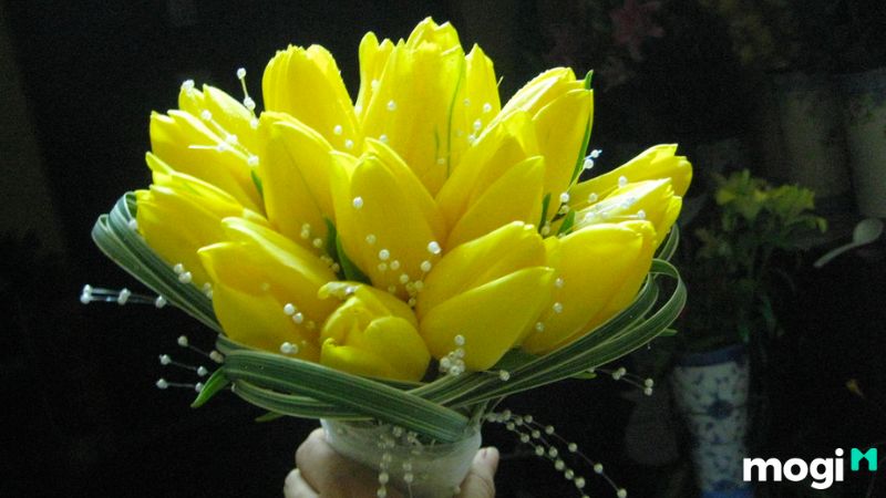 Ý nghĩa hoa tulip vàng
