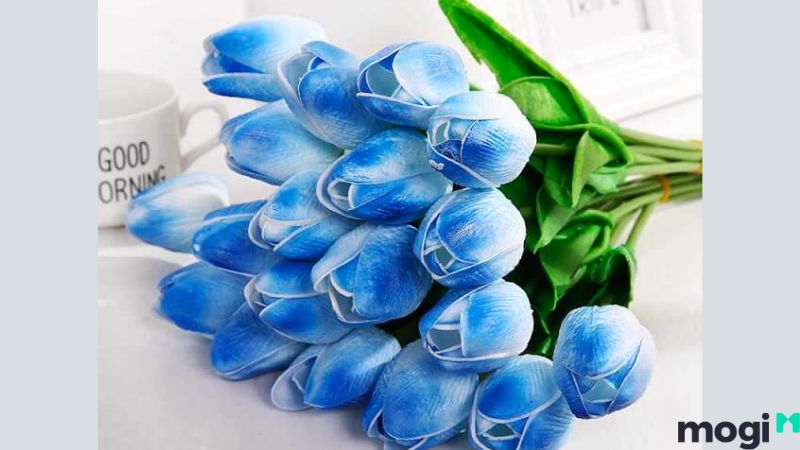 Ý nghĩa hoa tulip xanh