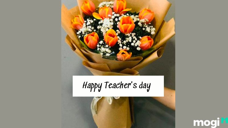 Tặng hoa tulip vào ngày nhà giáo