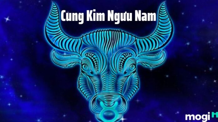 Cung Kim Ngưu nam