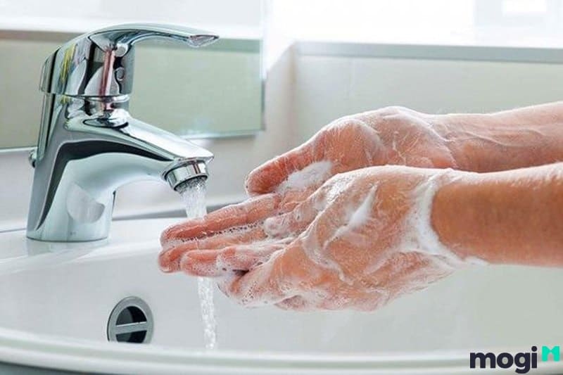 Nên rửa tay bằng xà bông diệt khuẩn sau khi tiếp xúc với thú cưng
