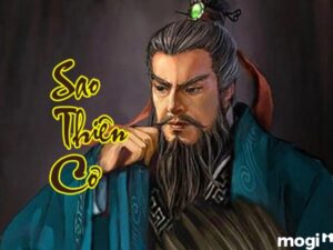 cung nô bộc