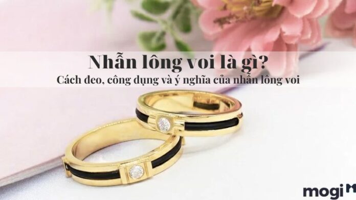 Nhẫn Lông Voi Là Gì? Có Ý Nghĩa Gì? Đeo Ngón Nào Tốt Nhất?