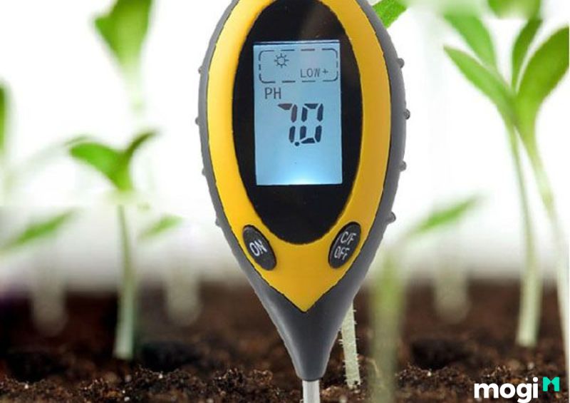 Loại cây trồng ảnh hưởng đến độ pH của đất