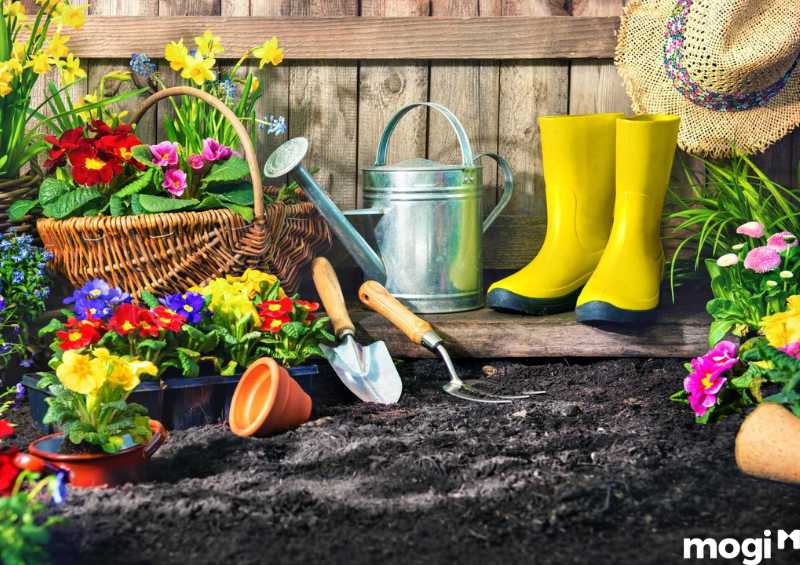 Chuẩn bị dụng cụ trồng vườn rau sạch tại nhà