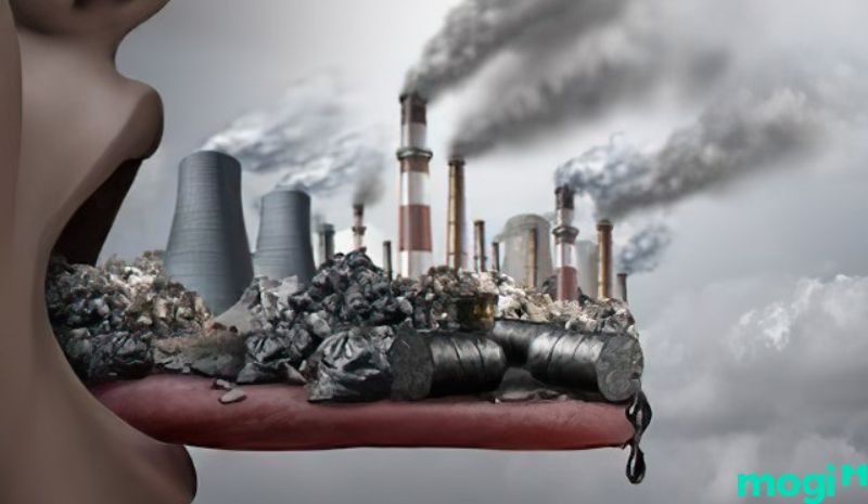 Ô nhiễm đất là gì - Các chất thải từ công nghiệp rất khó để tiêu hủy hoàn toàn