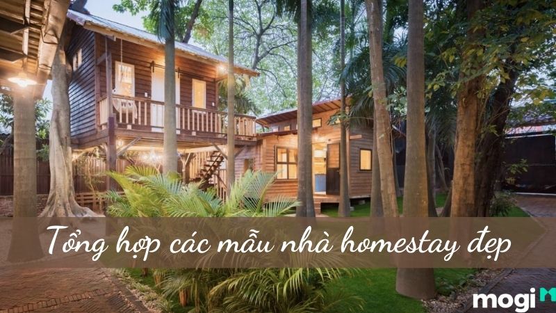 Thiết kế thi công nhà sàn, homestay, khu nghỉ dưỡng - Nam Viên ZenArt