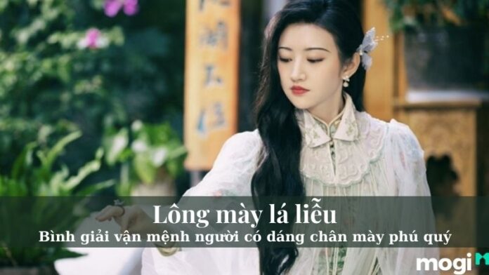 lông mày lá liễu