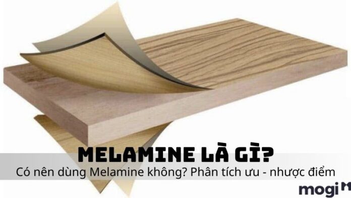 Melamine là gì?