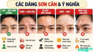 Luận đoán chi tiết vận mệnh qua các hình dáng sơn căn phổ biến