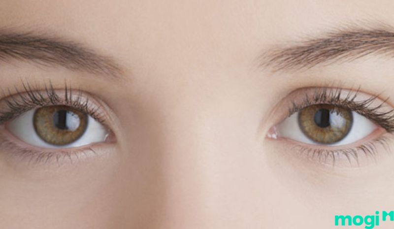 Mắt âm dương là gì - Người có tướng mắt âm dương xấu sẽ ảnh hưởng phần nào đến vận mệnh của họ