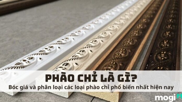 phào chỉ là gì