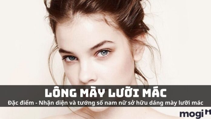 Lông mày lưỡi mác