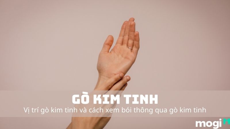 Gò Kim Tinh Là Gì? Giải Mã Từ A-Z Gò Kim Tinh Lòng Bàn Tay