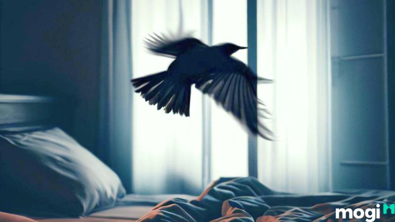 chim sâu bay vào phòng ngủ