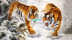 Sao Bạch Hổ: Cô độc, Tai hoạ, Hiểm nguy cần hoá giải 1 Sao Bạch Hổ và các đặc điểm tử vi