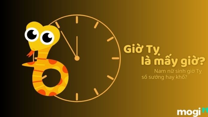 Giờ Tỵ là mấy giờ? Người sinh vào giờ Tỵ có vận mệnh sung sướng hay nghèo khổ?