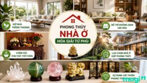 Sao Tử Phù Là Gì? Luận Ý Nghĩa Tại Các Mệnh Và Cung Khác 14 Cách thay đổi phong thủy nhà ở giúp cải thiện vận mệnh có sao Tử Phù