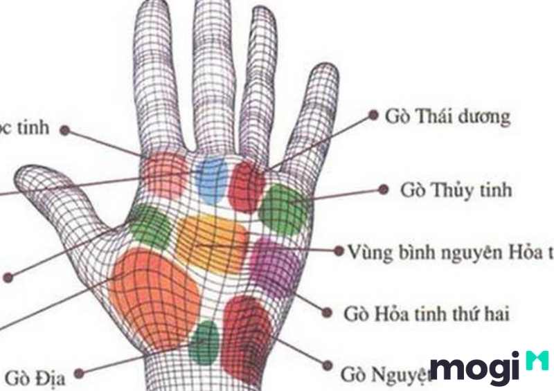 Ý nghĩa của gò Thái dương trên bàn tay