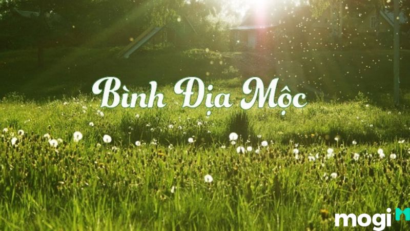 bình địa mộc là gì