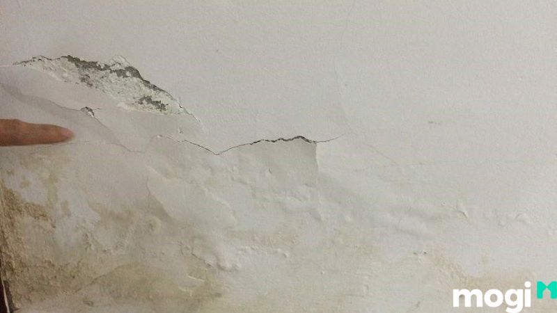 Nhận biết tường bị ẩm mốc bằng máy đo độ ẩm
