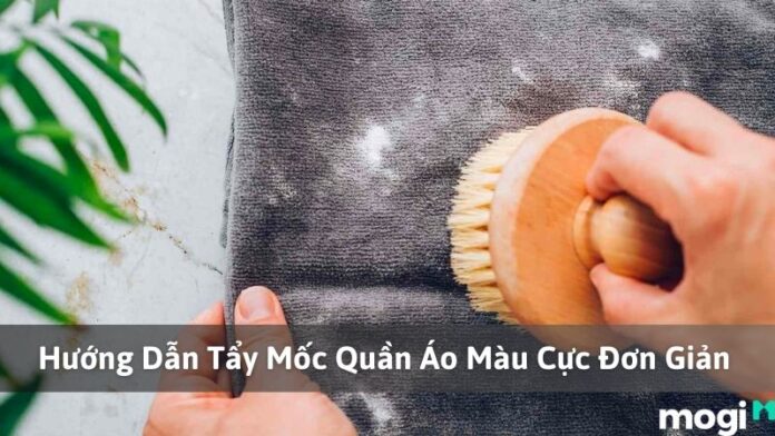 tẩy mốc quần áo màu